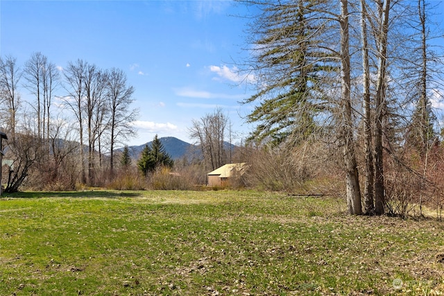 view of yard featuring a mountain view