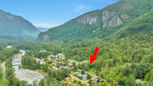 7XX Index Ave, Index, WA 98256 - photo 1