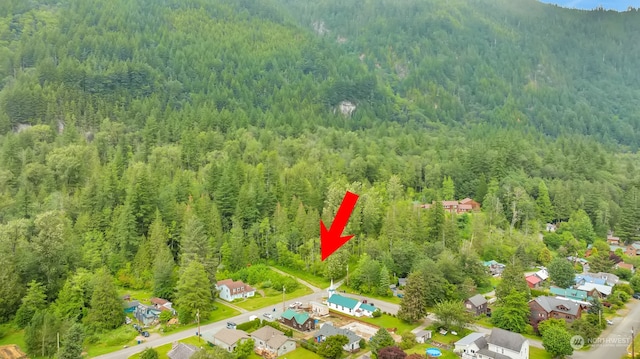 7XX Index Ave, Index, WA 98256 - photo 2