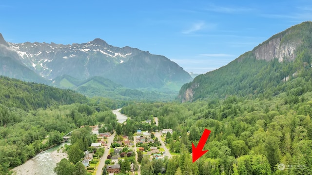 7XX Index Ave, Index, WA 98256 - photo 5