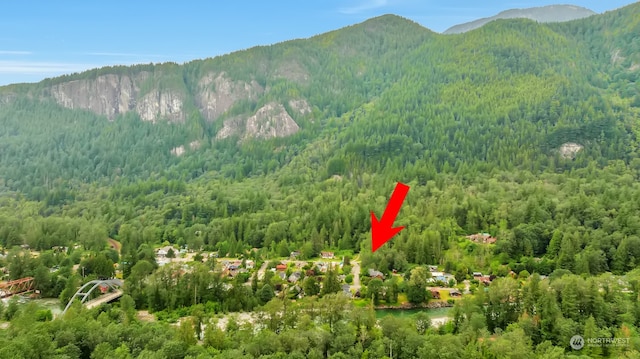 7XX Index Ave, Index, WA 98256 - photo 6