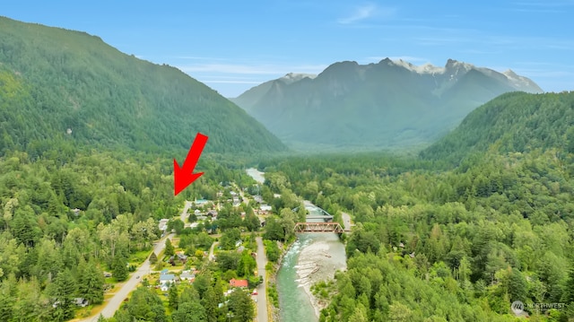 7XX Index Ave, Index, WA 98256 - photo 7
