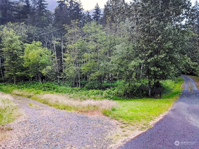 7XX Index Ave, Index, WA 98256 - photo 10