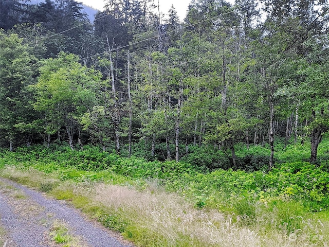 7XX Index Ave, Index, WA 98256 - photo 11