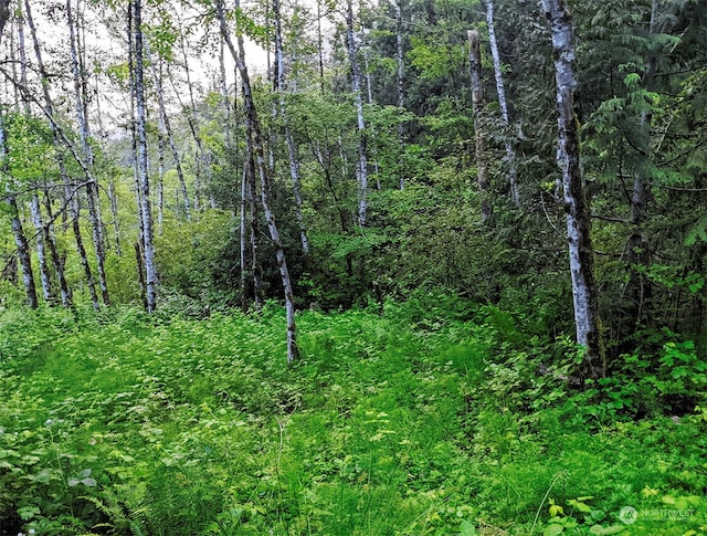 7XX Index Ave, Index, WA 98256 - photo 13