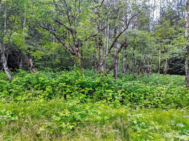 7XX Index Ave, Index, WA 98256 - photo 14