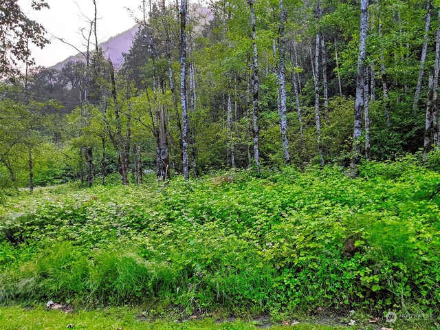 7XX Index Ave, Index, WA 98256 - photo 16
