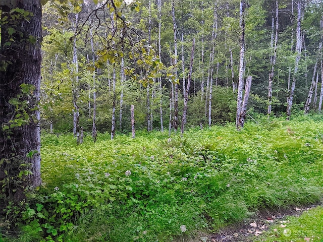 7XX Index Ave, Index, WA 98256 - photo 17