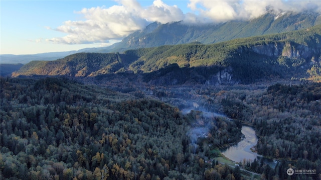 7XX Index Ave, Index, WA 98256 - photo 20
