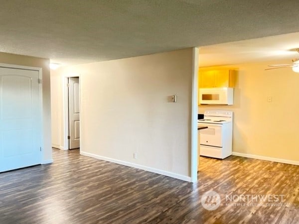 empty room featuring dark hardwood / wood-style flooring, ceiling fan, and a textured ceiling