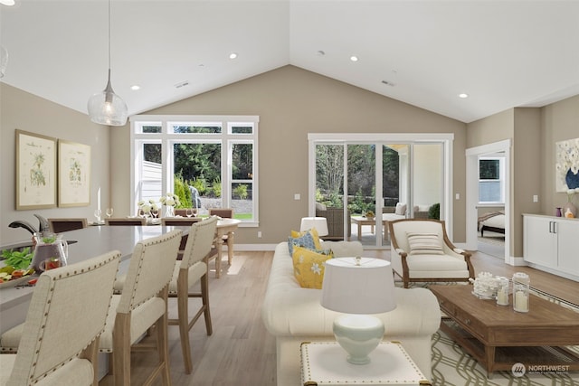 living room with light hardwood / wood-style flooring and high vaulted ceiling