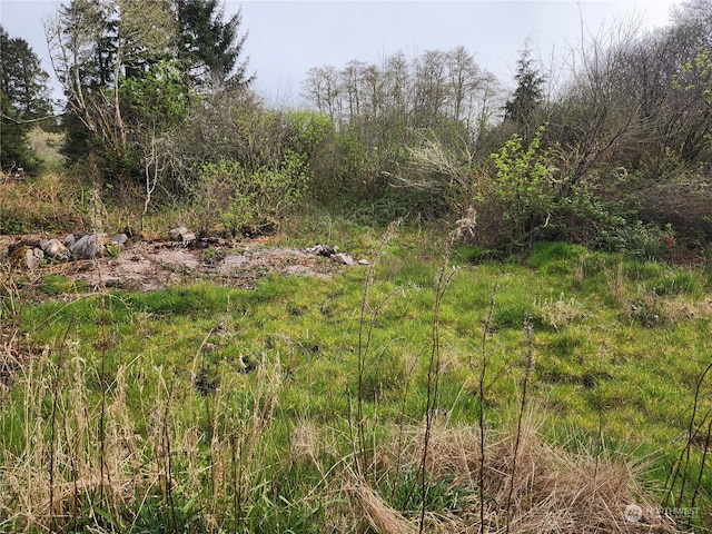 3502 102nd St, Long Beach WA, 98631 land for sale