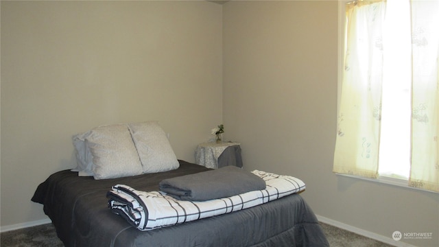 view of carpeted bedroom