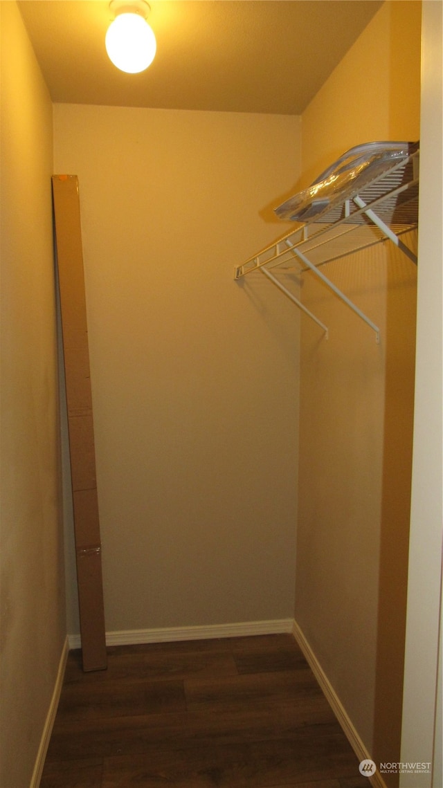 spacious closet with dark wood-type flooring