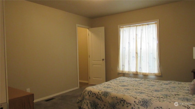 carpeted bedroom with multiple windows