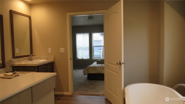 bathroom with vanity, a washtub, and wood-type flooring