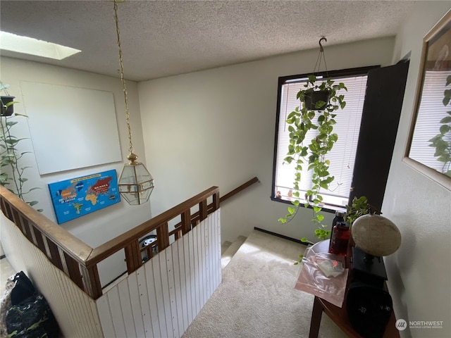 interior space with a skylight, light colored carpet, and a textured ceiling