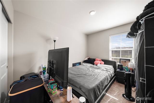 carpeted bedroom featuring a closet