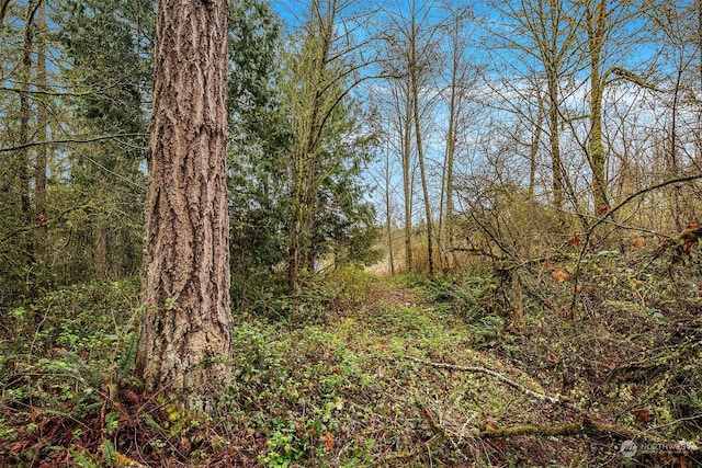 67XX W Snoqualmie Valley Rd NE, Carnation, WA 98014