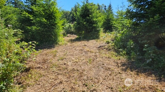 258 Karsons Creek Rd, Kalama, WA 98625 - photo 10