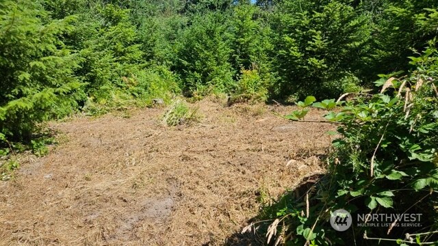 258 Karsons Creek Rd, Kalama, WA 98625 - photo 11