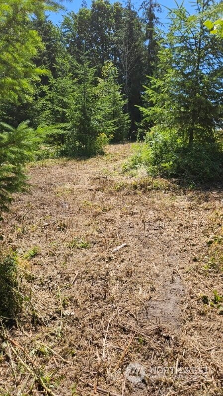 258 Karsons Creek Rd, Kalama, WA 98625 - photo 12