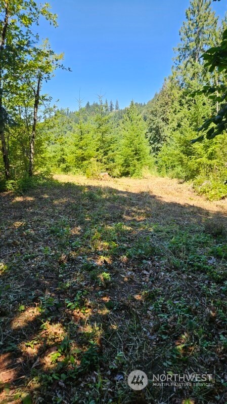 258 Karsons Creek Rd, Kalama, WA 98625 - photo 13