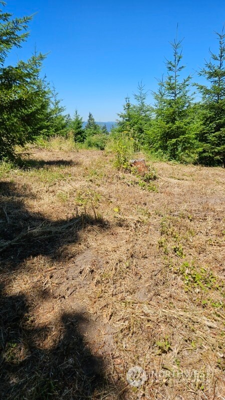 258 Karsons Creek Rd, Kalama, WA 98625 - photo 14