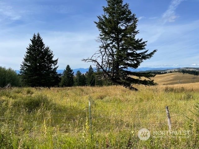 123 Davies Rd, Oroville WA, 98844 land for sale