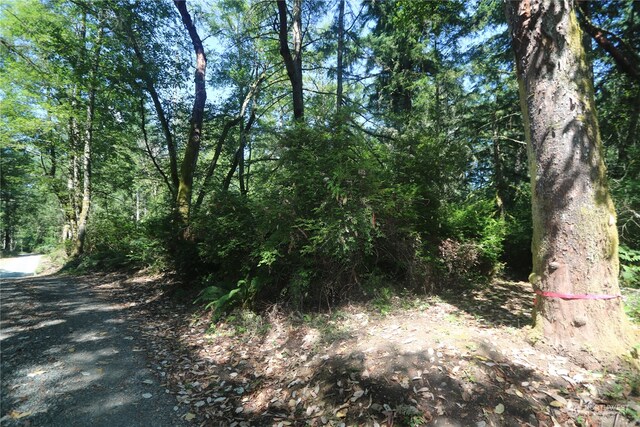 28686 141st Ave SW, Vashon, WA 98070 - photo 10