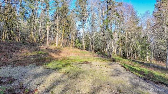 2725 137th Ln SW, Tenino WA, 98589 land for sale