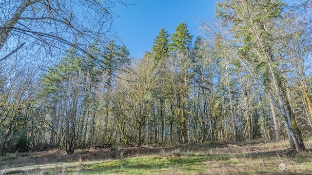 Listing photo 2 for 2725 137th Ln SW, Tenino WA 98589