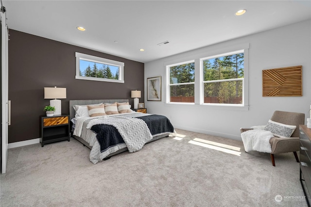 carpeted bedroom with multiple windows