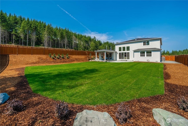 rear view of property featuring a patio area and a yard