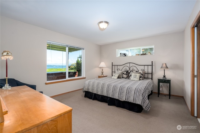 bedroom with multiple windows and carpet