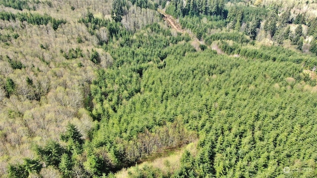 0OFFOF State Route 107, Montesano, WA 98563