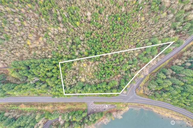 0XXXX Alder Cutoff Rd E, Eatonville WA, 98328 land for sale