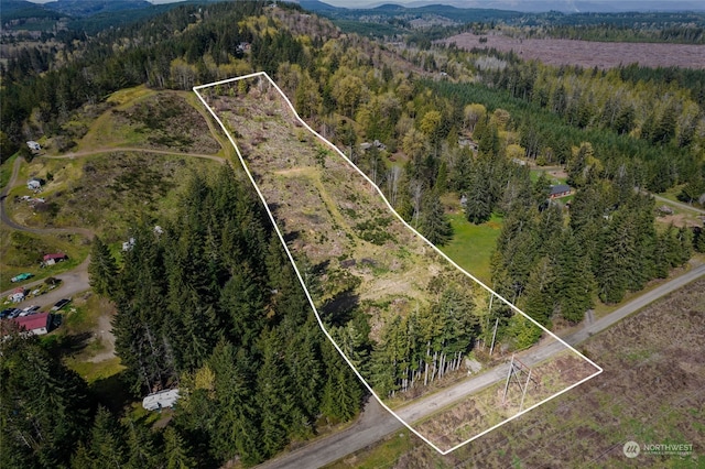 121 W Bear Trap Blvd, Shelton WA, 98584 land for sale