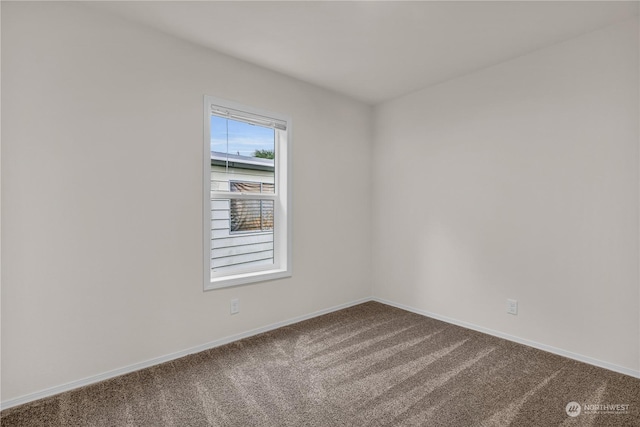 empty room featuring carpet