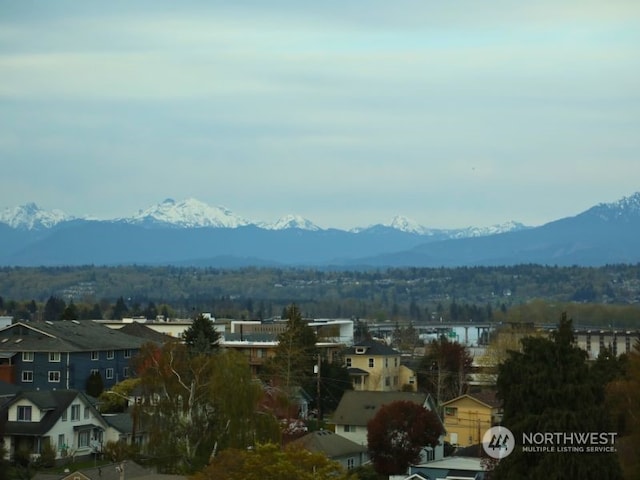 view of mountain feature