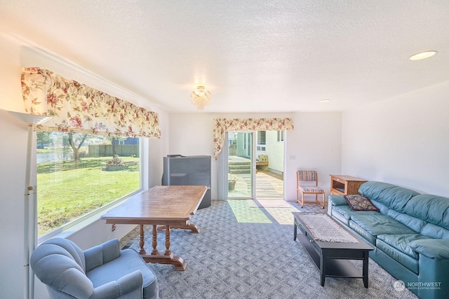 interior space featuring plenty of natural light, carpet floors, and a textured ceiling