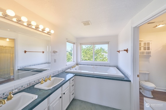 bathroom featuring hardwood / wood-style flooring, toilet, dual vanity, a bathtub, and a textured ceiling