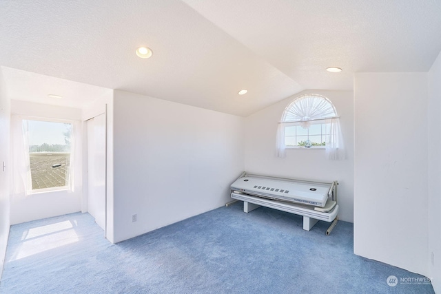 interior space with light colored carpet, a textured ceiling, and lofted ceiling