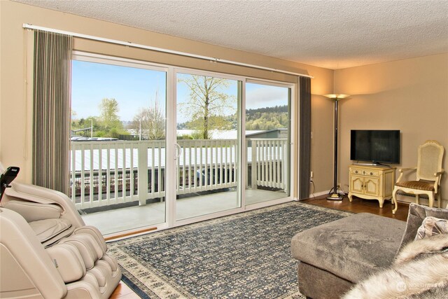 living room with a textured ceiling and hardwood / wood-style floors