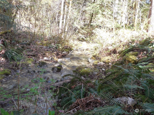 view of nature with a water view