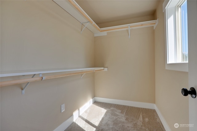 spacious closet with light carpet