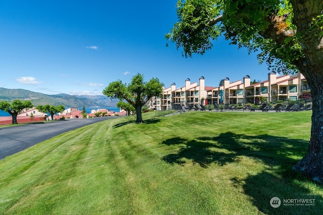 view of home's community with a mountain view and a yard