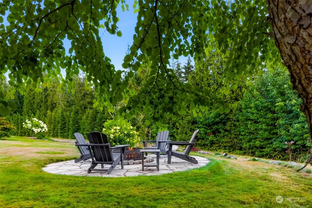 view of yard with a patio area and a fire pit