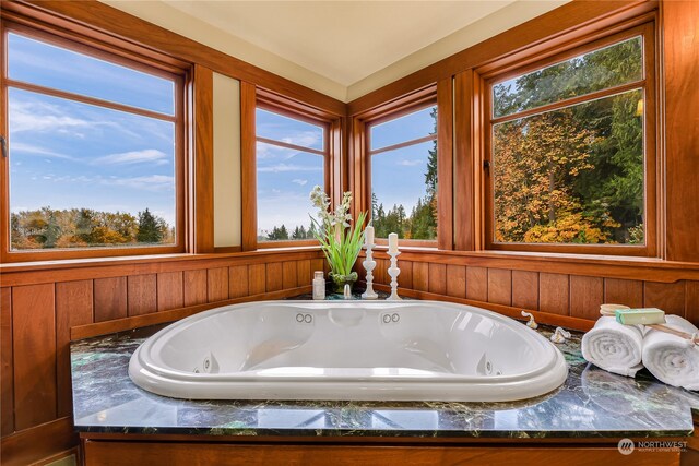 bathroom with a healthy amount of sunlight