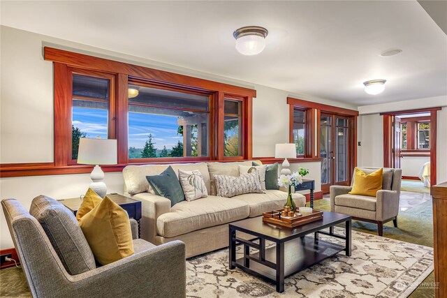 carpeted living room featuring plenty of natural light